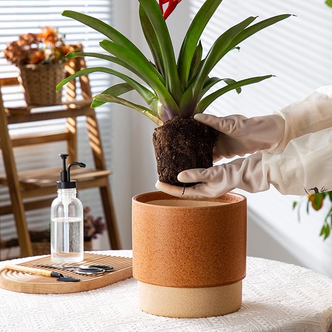Self Watering Ceramic Planter: 8 Inch Plant Pot with Drainage Hole & Water Storage Plus for Outdoor & Indoor Plants, Succulents, Herbs - Flower Pot for Home or Office Decor - Terracotta