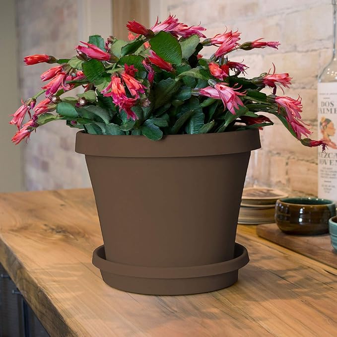 Bloem Terra Resin Saucer Tray: 9.25" Bottom Width - Chocolate Brown - Matte, Durable, Ribbed Bottom, Indoor and Outdoor, Fits 12" Terra Pots