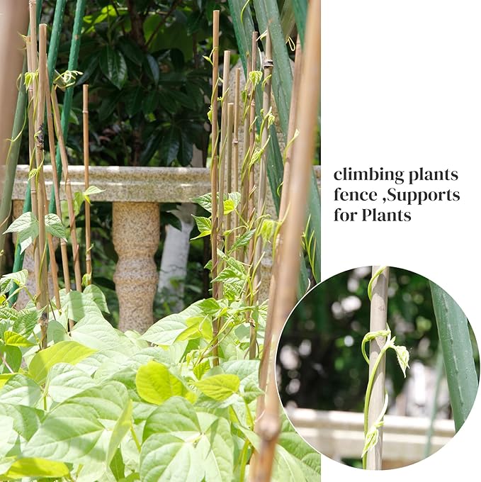 50PCS Bamboo Stakes Bamboo Poles Eco-Friendly Bamboo Support Plant Stakes for Tomato, Bean, Flowers,Trees Potted and Climbing Plant Natural Garden Stakes with 30 Pieces Green Twist Ties(3.0FT)