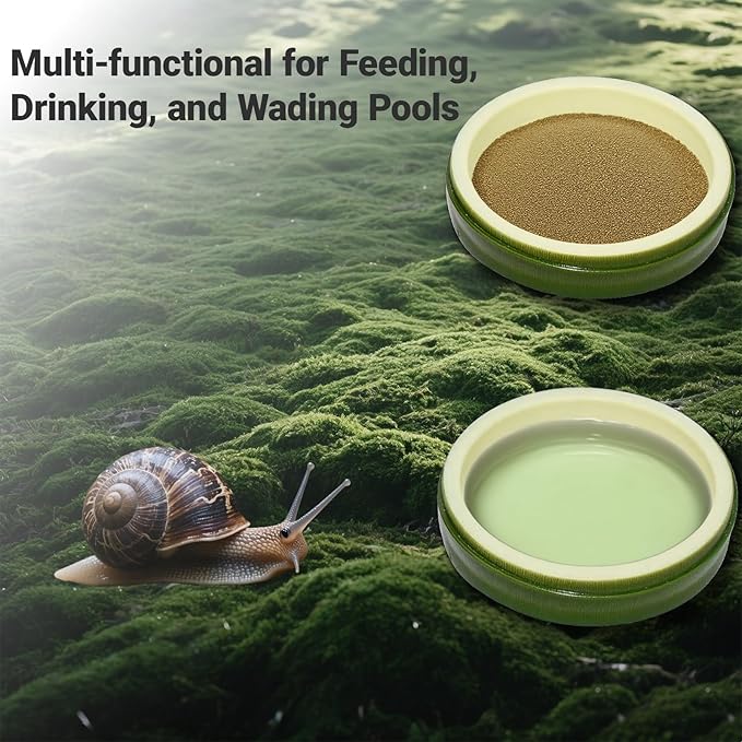 2 Pack Snail Water and Food Bowl，atural Design Food Bowl for Pet Snails, Garden Snails Pet Land Snail Terrarium Supplies