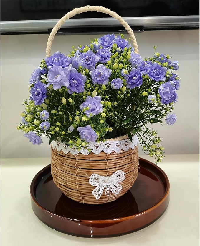 Ceramic Plant Saucer 9 Inch, Round Plant Trays for Indoors/Outdoors, Flower Pot Saucers for Holding Water Drips and Soil, Ceramic Drainage Tray for Plant Pot (Reactive Glaze Brown)