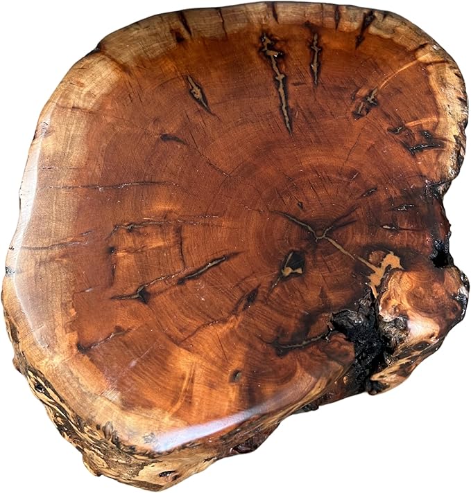 THY COLLECTIBLES Natural Tree Trunk Stump Stool with Live Edge Solid Wood Plant Stand, Stool, Garden Bench, Side Table, End Table (D11in x H6in)