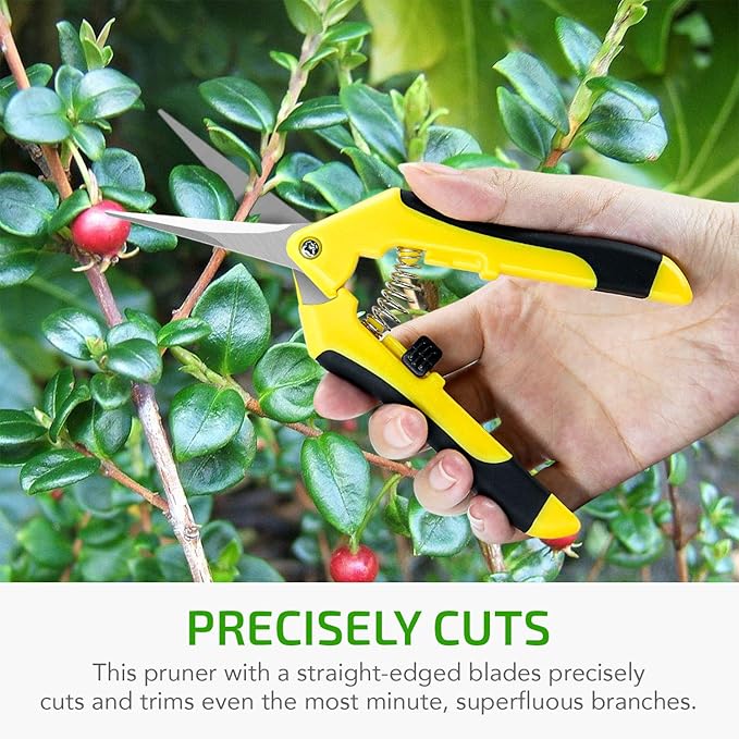 iPower 6.5 inch Pruning Shears for Gardening Trimming Scissors, Hand Pruner, Stainless Steel, Yellow