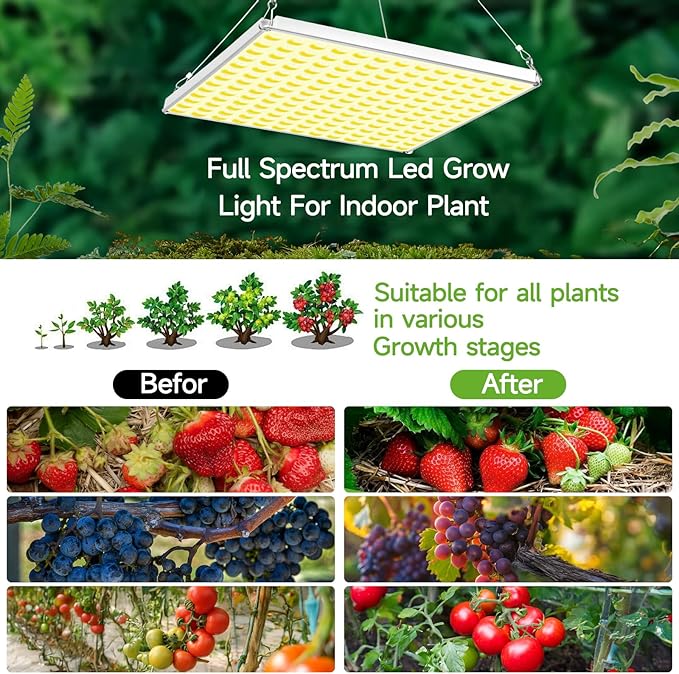 LED Grow Light for Indoor Plants Full Spectrum Plant Light for Seedling, Hydroponic, Greenhouse, Succulents, Flower