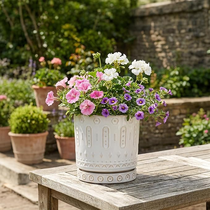 Ceramic Planter, 6 Inch Pot for Plants with Drainage Holes and Tray, Round Plant Pots for Indoor Outdoor Plants, Boho Decorative Flower Pots, Home Room Decor, Gifts for Women, White