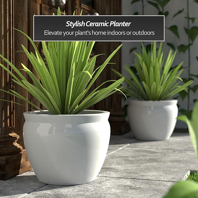 Red Lantern 16" White Porcelain Fishbowl Planter or Cachepot for Indoor/Outdoor Use in Garden Entryway Living Room Boho Eclectic Modern Contemporary Classic Traditional Style Decor