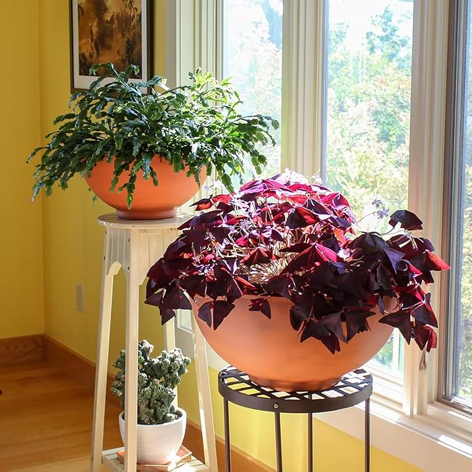 Small Burnt Sienna Decorative Bowl for Home Garden Tabletop Accent Rustic Indoor Outdoor Display Planter Style Bowl for Modern Decor Entryway Living Room Patio Styling
