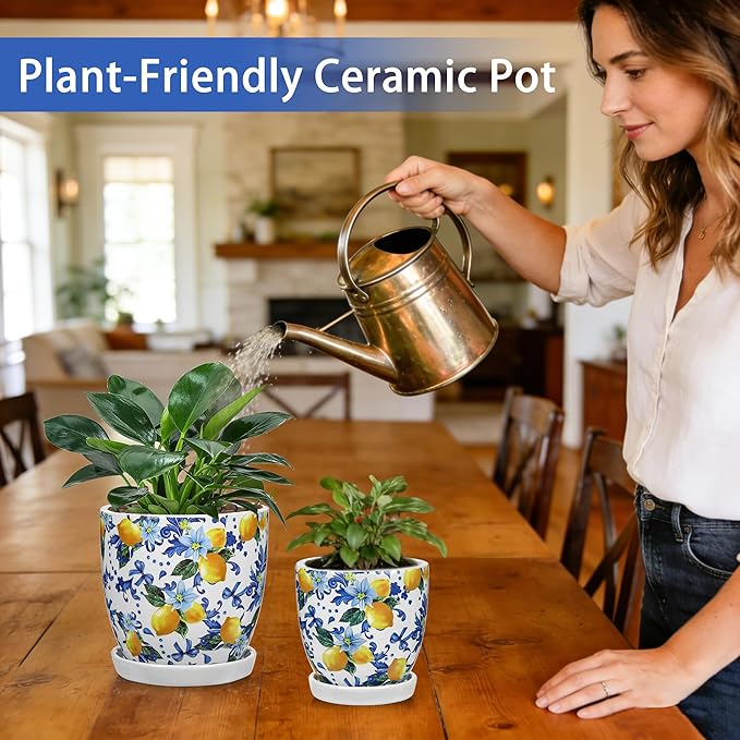 5.3+4.3 inch Ceramic Plant Pots, Set of 2 Blue and White Plant Pot with Drainage Holes and Saucers Small Lemon Indoor Planters Decorative Flower Pots for Succulents, Cacti, Snake Plants, and Herbs