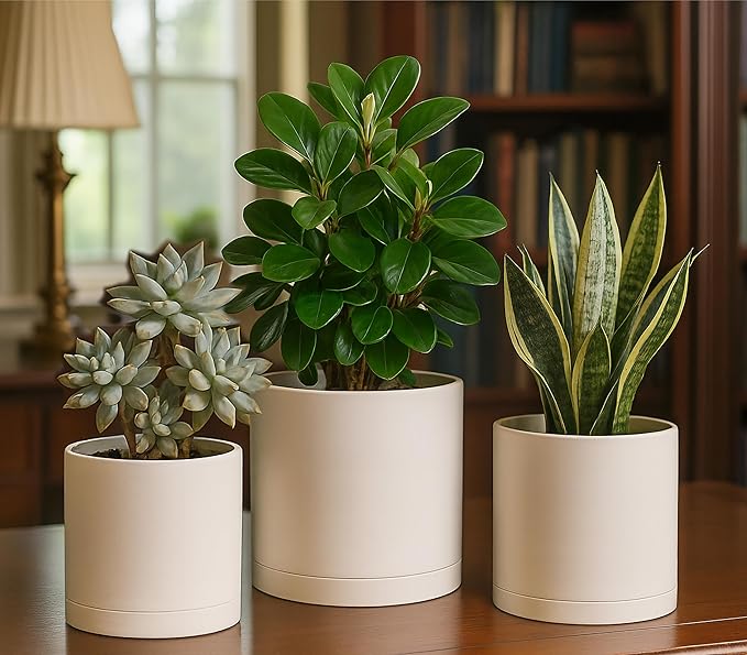 D'vine Dev 6 Inch 6.5 Inch 8 Inch, Set of 3 Plastic Planter Pots for Plants with Drainage Hole and Seamless Saucers, Oatmeal, Medium, 74-V-H-3