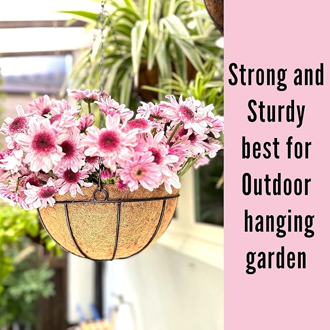 LaLaGreen Hanging Planters for Outdoor Plants (2 Pack, 12 Inch) Hanging Baskets with Coco Liner Flower Pots, Metal Wire Round Plant Holder Hanger Hook Chain Deck Porch Garden Balcony Farmhouse Decor