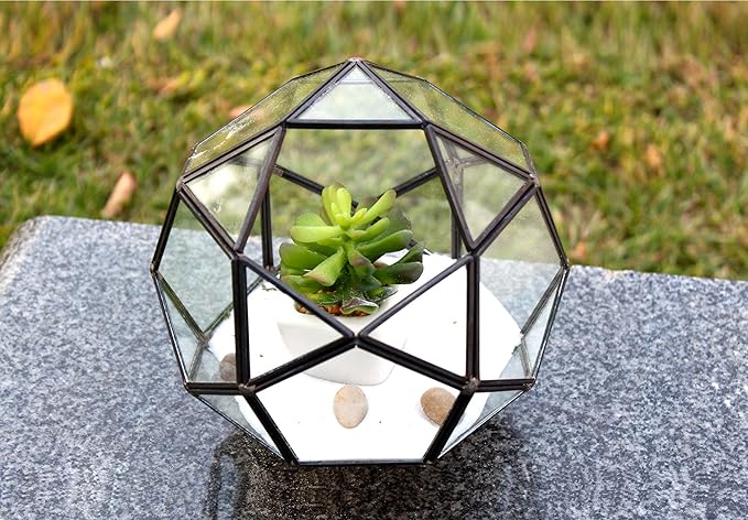 WGV Geometric Planter Terrarium Bulk, Width 7" Height 6.7" Clear Glass Black Frame DIY Succulent air Plant Miniature Fairy Garden Windowsill Tabletop Decor, Globe Ball 4 Pieces