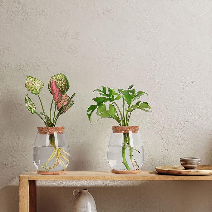 2 Pcs Propagation Vases, Tabletop Plant Terrarium for Propagating Hydroponic, Glass Terrarium Vase Jars, Home Kitchen Decorations and Gifts for Plant Lovers