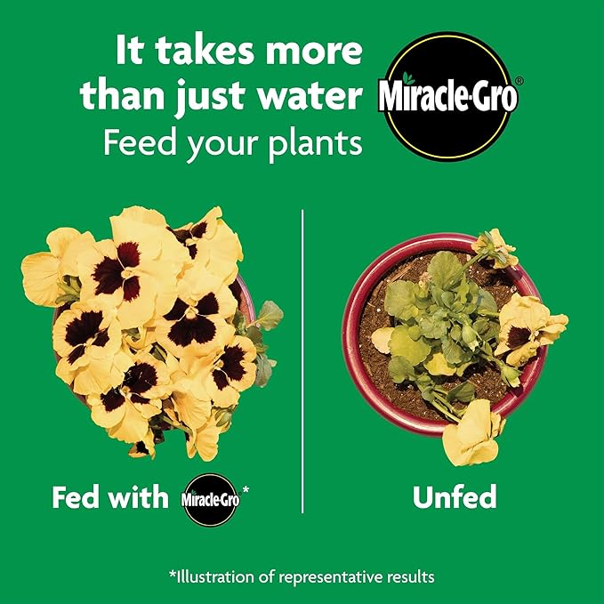 Miracle-Gro Shake 'N Feed All Purpose Plant Food, Plant Fertilizer, 4.5 lbs. (6-Pack)