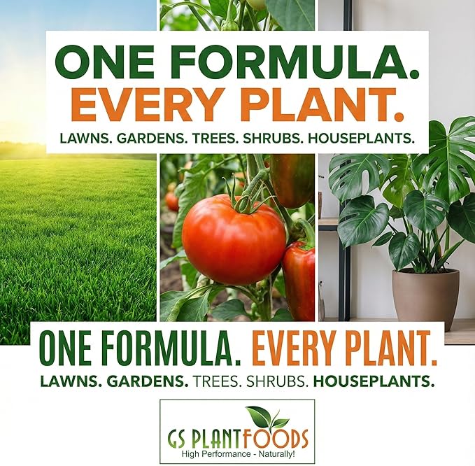 GS Plant Foods Liquid Kelp Fertilizer – Suitable for Organic Growing, OMRI Listed Seaweed Concentrate for Lawns, Gardens & Soil - 1 Gallon (Makes Up To 800+ Gallons)