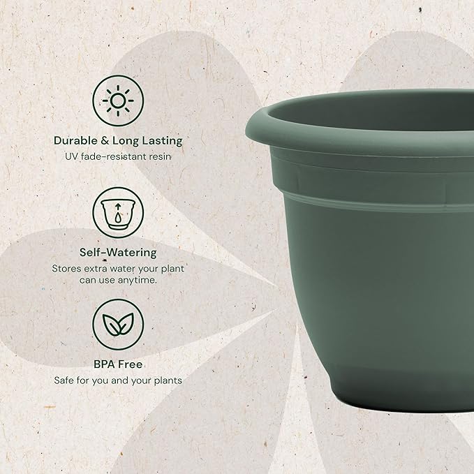 Bloem Ariana 8" Basil Round Self-Watering Resin Planter Pot - Rolled Rim Indoor and Outdoor Gardening Planter