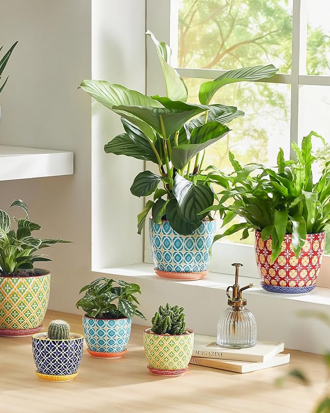 Ceramic Plant Pots, 5.8 Inch Flower Pots for Indoor Plants, Colorful Planters with Drainage Hole & Saucer, Garden Planters for Succulent, Orchid, Cactus, Home Decor, Set of 4