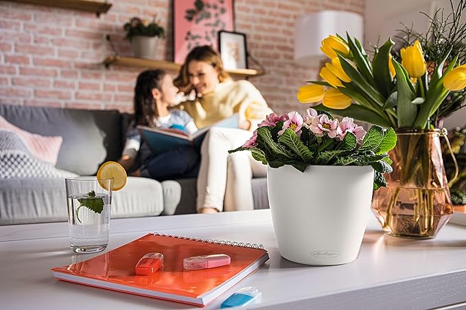 Lechuza Classico Color 21 White, Self-Watering Small Round Planter, D8.3 H7.9 in