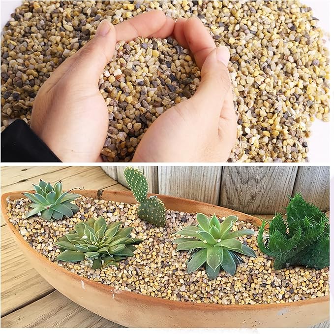 WHANLEY L&Q 5 LB Natural Coarse Sand,Rocks for Plants,Decorative Stones,Aquarium Sand,Succulents and Cactus Bonsai DIY Projects Rocks,Pebbles for Indoor Plants,Gravel(Stones Size:3~5 mm)