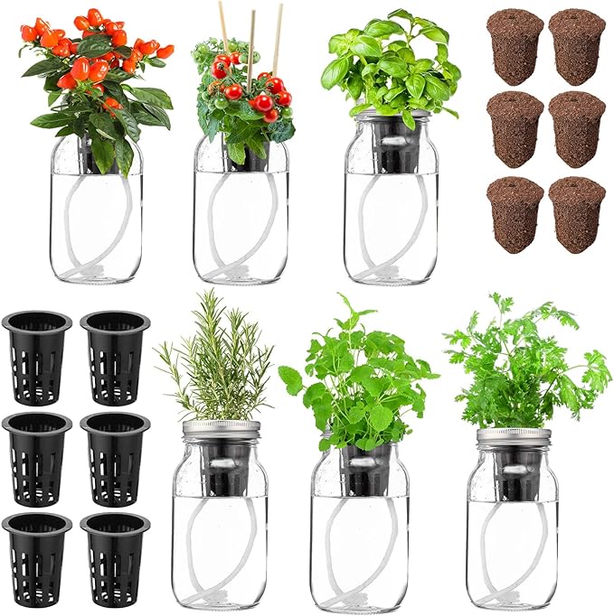 6 Set Hydroponic Herb Garden Planter Indoor Kit, Include 6 Self Watering Mason Jars 6 Planting Baskets 6 Pre Sown Growth Plugs and 6 Absorbent Cores Herb Growing Kit for Practical Gardening