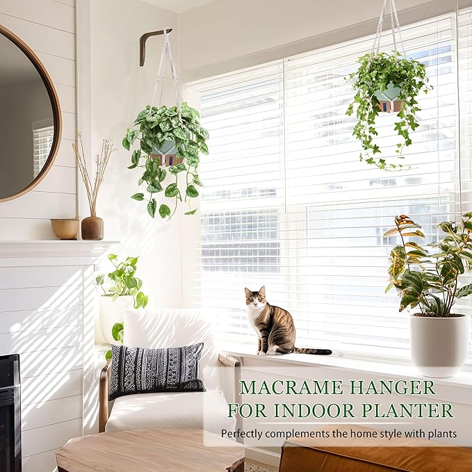 10 Inch Hanging Planters for Indoor Plants, 2 Pack Self Watering Hanging Baskets Flower Pots with Drainage Hole, Visual Reservoir & 2 Kinds of Plant Hanger for Outdoor Garden Home Decor