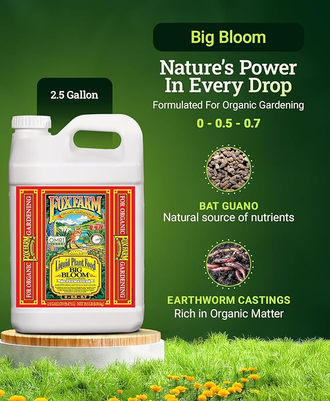 FoxFarm - Big Bloom Plant Food, Liquid Fertilizer Concentrate for Flowers, Fruits, and Vegetables, All Purpose Plant Fertilizer for Indoor & Outdoor Potted Plants, NPK 0-0.5-0.7 (2.5 Gallon)