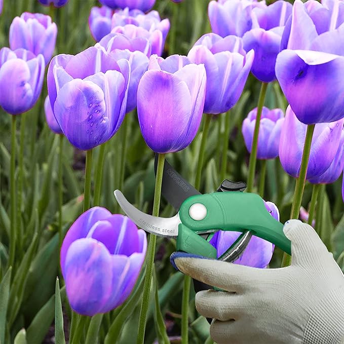 Nevlers 8" Green Bypass Pruning Shears Heavy Duty | Flower Shears & Pruning Scissors w/Steel Blades, Blade Lock & No-Slip Grip | 8mm Cut Capacity Garden Clippers Handheld for Flower Stems & Branches