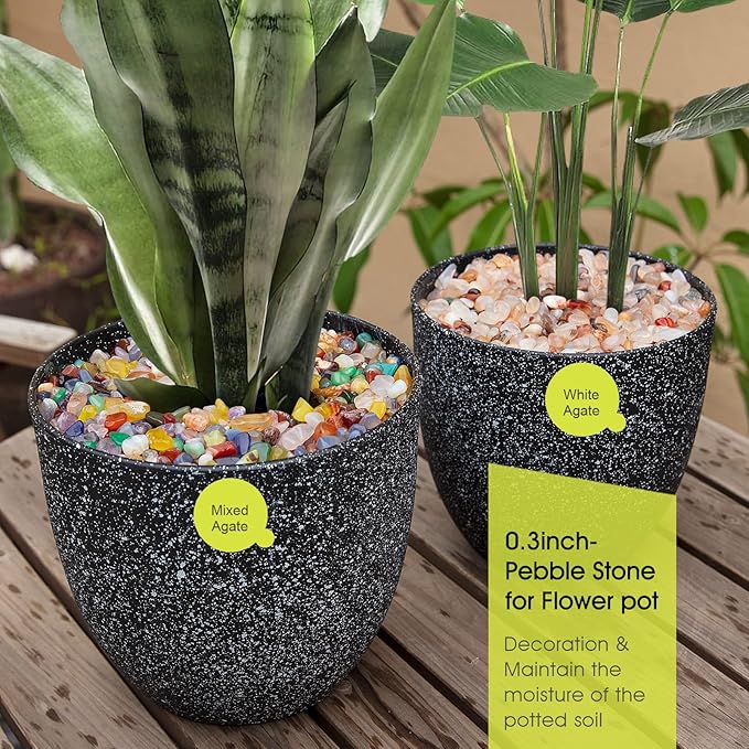 RIFNY Decorative Polished Rocks, 0.3" Gravel Rocks Crushed Crystal for Plant Flower Pots Succulents Cactus Bamboo Plant Vase Filler Aquarium Fish Tank Decorations and DIY Craft (1.5 LB, Color)