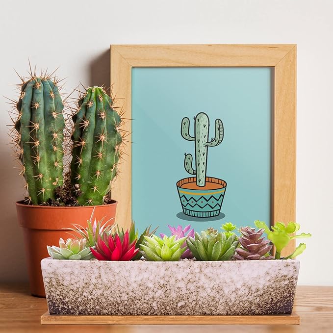 ARTKETTY Succulent Pots - Large Succulent Planter Pots with Drainage, 12 Inch Long Rectangle Bonsai Pot with Bamboo Tray Shallow Ceramic Cactus Flower Planter Window Box for Home Garden Decor (White)
