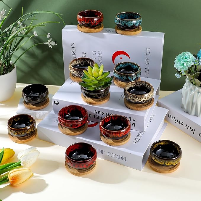 12 Pcs Ceramic Succulent Garden Pots Succulent Small Plant Cactus Planter Ceramic Pot with Drainage Hole and Bamboo Tray Matte Round Container (2.5 Inch)
