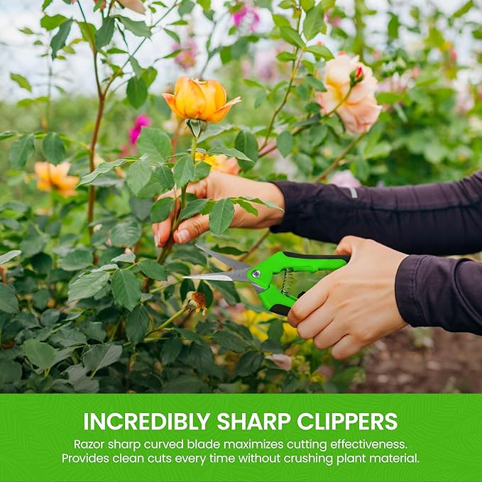 GARDEN GURU Razor Sharp Snip – Professional Garden Pruning Shears Trimmers Scissors – Super Sharp Micro-Tip Precision Stainless Steel Blades - Easy on Arthritic Hands - Soft Ergonomic Rubber Handles