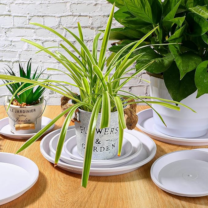 Patelai 10 Pack Plant Saucer, 4/6/8 Inch Plant Drip Trays for Pots, Flower Pot Saucers, Planter Drip Tray for Home Garden Indoor and Outdoor Planter Water Drainage Protection