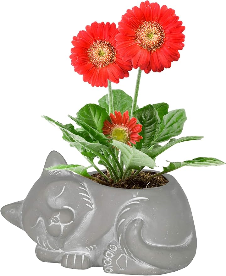 Classic Home and Garden Cement Buddies Animal Planter - Cute Desk Decoration - UV Coated Animal Vase w/Drain Plug - Succulent Plant Pot for Indoor/Outdoor Use (Cat Planter, Natural, Large)
