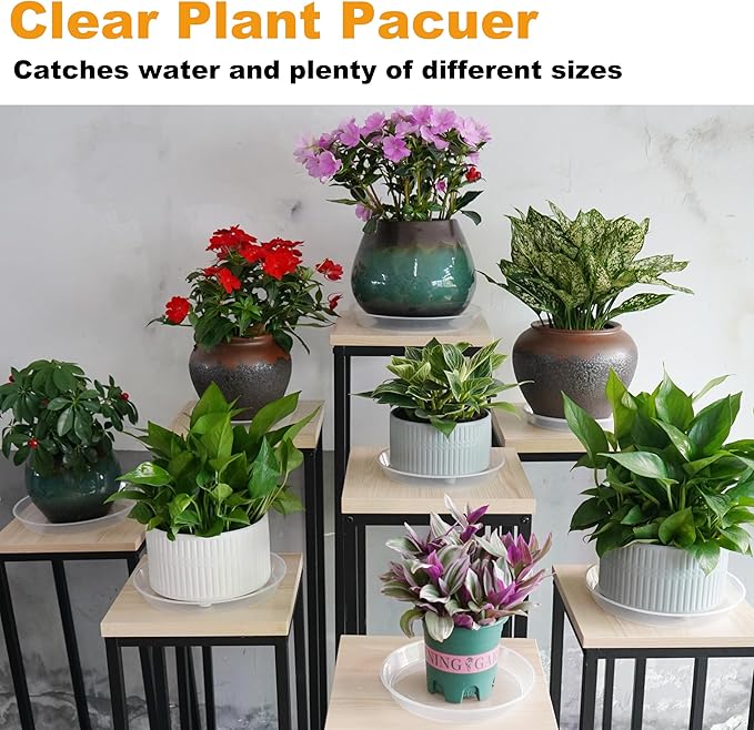 Plant Saucer Tray 10 inch, 6 Pack Plastic Plant Saucers for Indoors Outdoor, Heavy Duty Drainage Drip Water Trays for Planter Pots Flower, Flower Saucers for Pots Base (10", Clear)