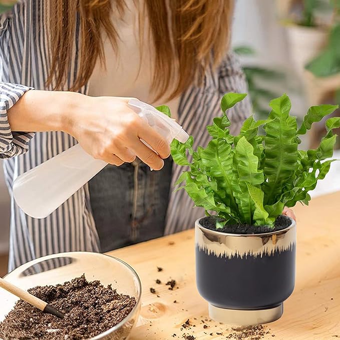 Black Gold Ceramic Succulent Plant Pots Floral Small Plant Pots Indoor Modern Round Decorative Indoor-Outdoor Garden Pots with Drainage Holes - Plants Not Included 4.33 x4.33 Inch