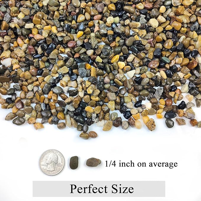 20 lbs Natural Fish Tank Gravel,1/4 Inch Pea Gravel. Mixed Color River Rocks for Aquarium, Succulent, Vase, Cactus Bonsai, Plant Soil Cover and Outdoor Landscaping Rocks