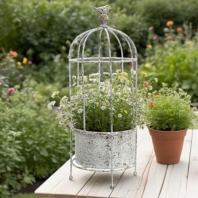 Rustic Vintage Birdcage Planter on Stand Farmhouse Distressed Decorative Metal Round Plants Holder Flower Pot with Latch Lock Closure for Garden Patio Yard Home Outdoor Balconies Decor