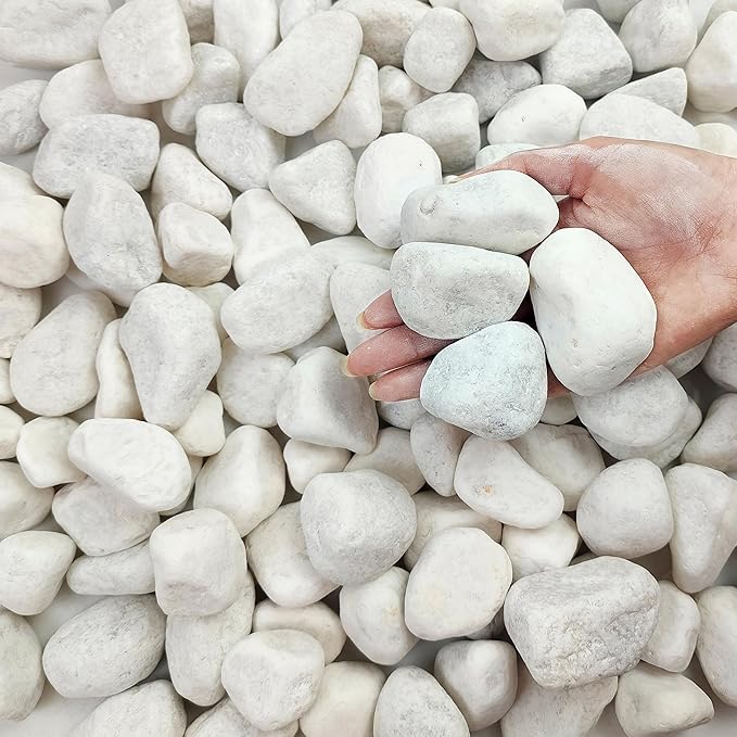 5 lbs White Matte Rocks for Plants, 2-3 Inch Large Pebbles for Indoor Plants, Decorative River Stones for Succulent, Landscaping, Vases, Crafting and Garden