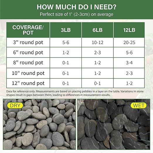 NUPICK 3lb Mexican Beach Pebbles, 1" Black River Rocks for Landscaping, Smooth Garden Rocks for Outdoor Paving, Natural Black Pebbles for Plants, Decorative Stones for Planters, Fish Tank, Fountain