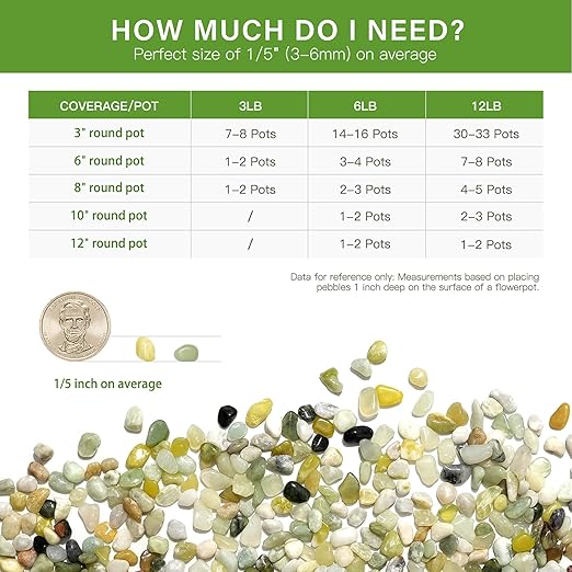 NUPICK 6 lbs Pebbles for Indoor Plants, 1/5 Inch Pea Gravel for Fish Tank, Polished Decorative Rocks for Succulent, Natural River Stones for Vases, Cactus, Landscaping, Bird Bath, Aquarium, Jade