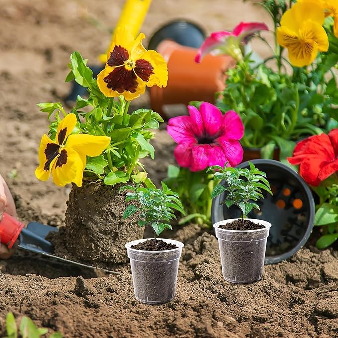 120 Pcs Clear Mini Nursery Pots for Plants, 2 Inch Plastic Seedling Clear Plant Pots with Drainage Holes, Seed Starting Trays for Various Seeds Indoor & Outdoor Flower Planters