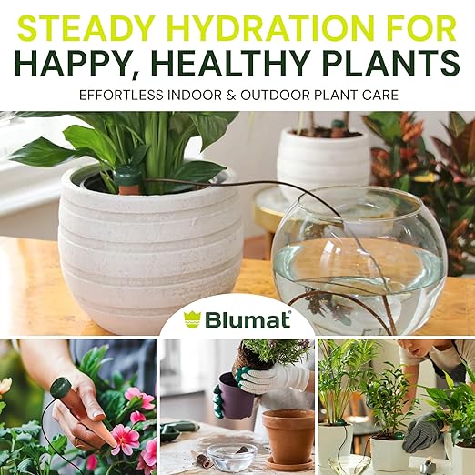 Blumat Classic Self-Watering Stakes - Automatic Drip Irrigation System for Indoor Plant Watering & Outdoor - Water Drip Solution for Potted Plants - Slow Release Stakes, 3 Pack, w Adapter