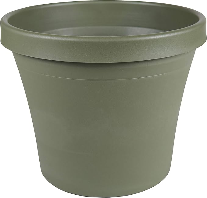 Bloem Terra Pot Planter 8" Living Green