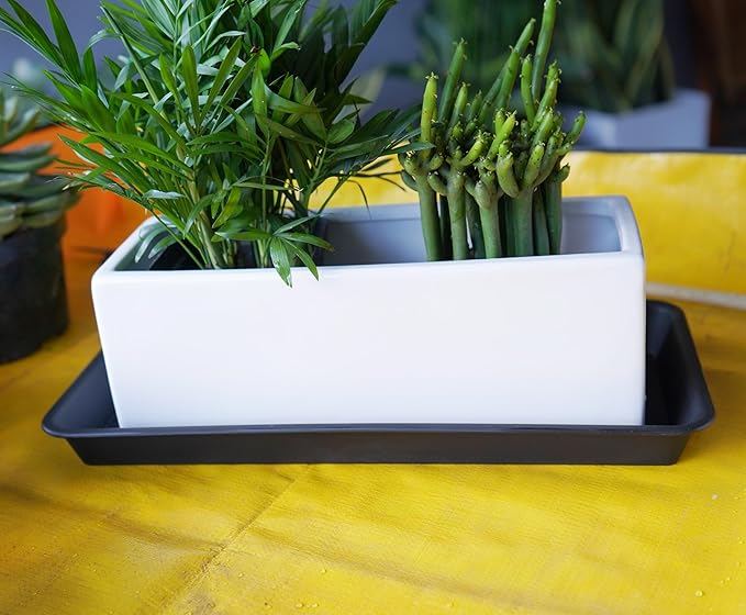 Plant Saucer Tray, Heavy Sturdy Long Narrow Plastic Plant Saucers Drainage Trays for Indoors No Holes, Plant Drip Trays for Pots Base, Seed Starter Growing Tray (6.5 X 13 inch, Black)