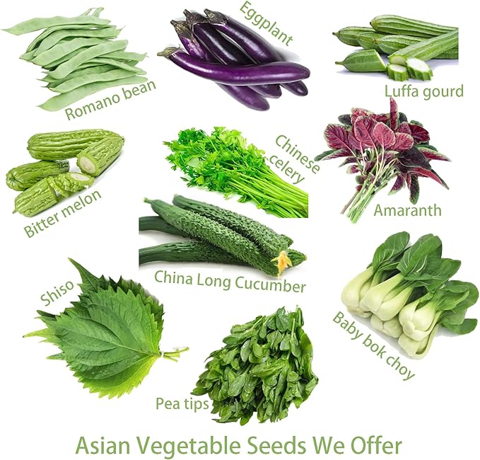 2026 EarlyBird-40ct Sweet Bell Pepper Seeds for Planting,Green & Red Bell Pepper,Non-GMO Heirloom Seed Vegetable Seeds for Home Vegetable Garden&Hydronic Pods-Veggie Seeds:California Wonder