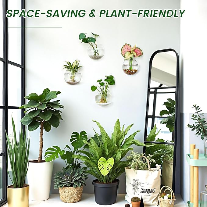 DomeStar 4PCS Wall Vases, Wall Mounted Hanging Glass Vases Clear Planter Terrarium Station for Hydroponics Plants Propagation Home Office Living Room Decor