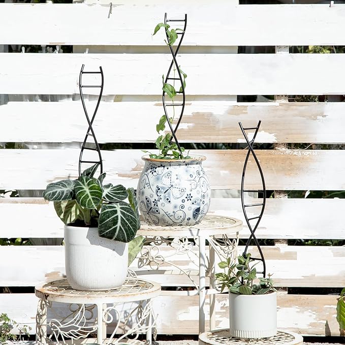 3 Pcs Indoor Plant Trellis Set - Black Metal DNA Design for Potted Plants, Small Houseplants & Climbing Support - Modern Home Decor & Vertical Garden Display - Perfect for Indoor & Outdoor Use