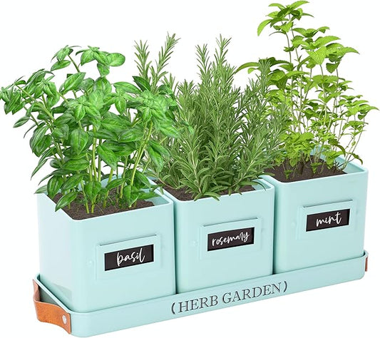 PERFNIQUE Indoor Herb Garden, Herb Planter Set with Tray, Farmhouse Indoor Plant Pots, Windowsill Herb Garden with Drainage(Planter only) for Indoor/Outdoor, Window Pots (Mint)