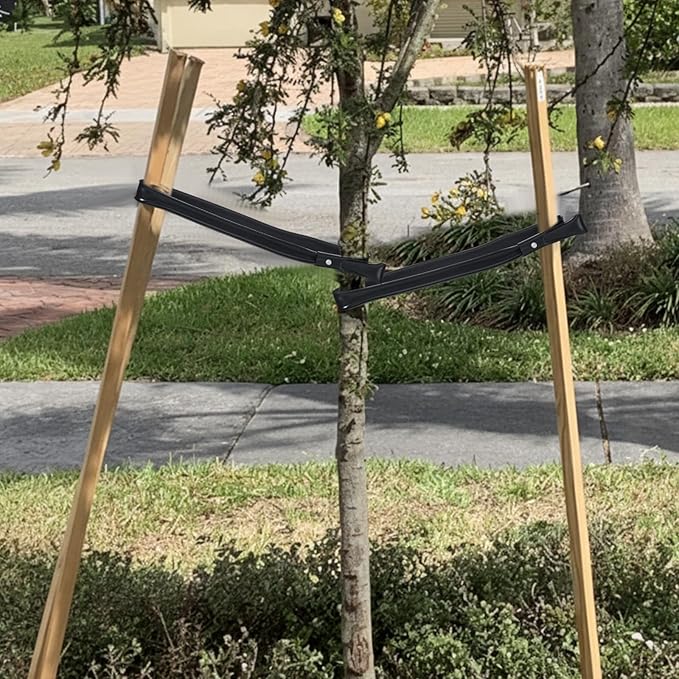 12 Pack 32 Inch Tree Ties with Complimentary Nail Universal Tree Ties Self Locking Straps Includes Nail for Landscaper Gardener Garden Accessories