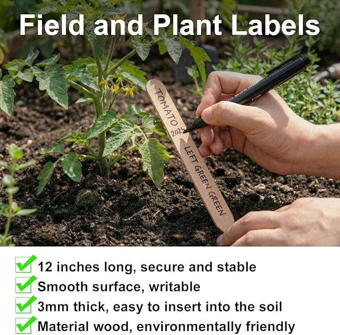 Weysat 200 Pcs 12" Wood Plant Labels for Field or Containers Plant Tags Wood Garden Labels for Seedling Stakes Markers Nursery Seed Tags with Smooth Surface for Pot Herbs Flowers Vegetables (Natural)
