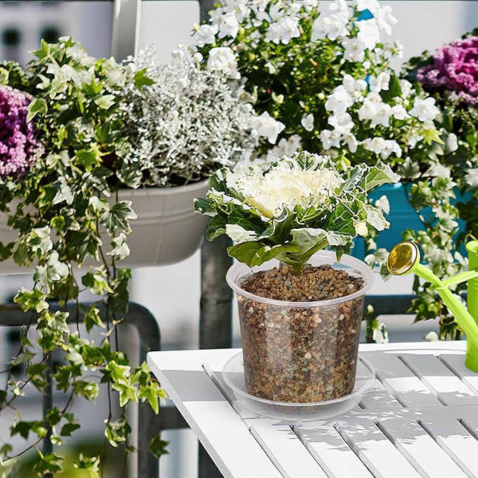 20 Pack 4 Inch Clear Nursery Pots with Drainage and Saucer, Clear Plastic Planter Pots for Plants, Flexible Seed Starting Pots for Succulents, Small Herbs, Annual Flowers (4 Inch)